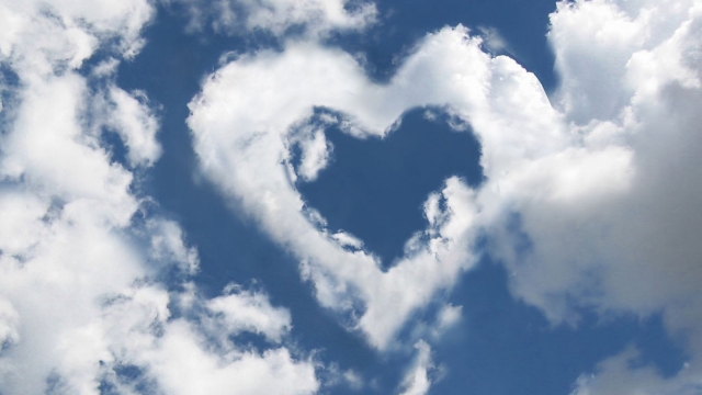 优发：园林绿化景观吗