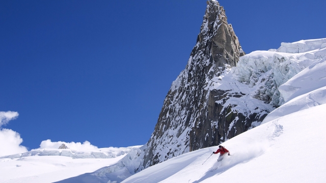 优发国际：园林绿化社会化管护的缺点