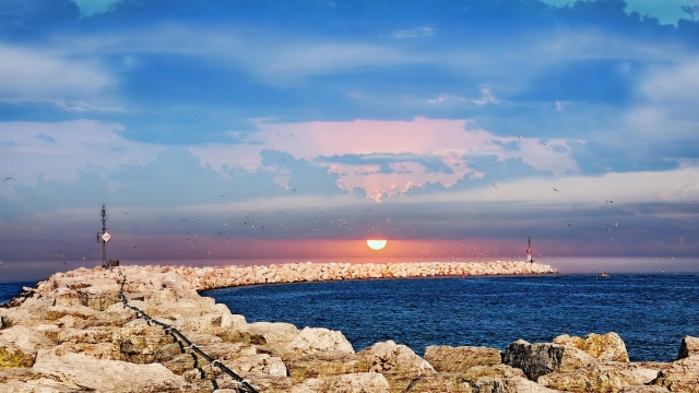 优发集团：园林绿化用的花树