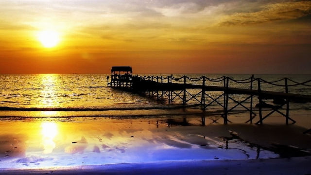 优发集团：园林绿化有名树种