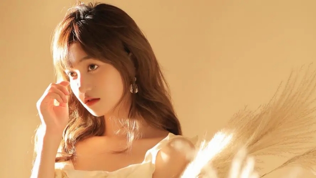 优发国际：园林绿化草坪苗