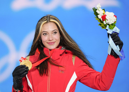 优发集团：园林绿化树石